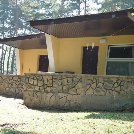 Osrodek Wypoczynkowy Jelonek Hotel Wolsztyn Ngoại thất bức ảnh